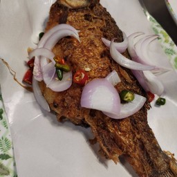 ปลาส้ม (ปลาตะเพียน)