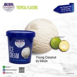 Young Coconut 473 ml