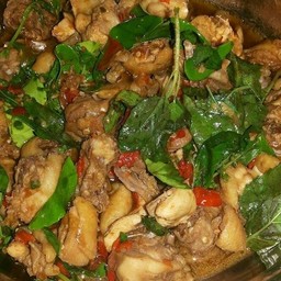 แกงเผ็ดป้าไก่ สะพานหัวตรุด
