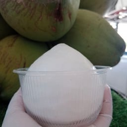 ใบเฟิร์นมะพร้าวปั่น ตลาดนัดชุมชนคลองสี่วา ฯ