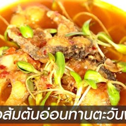 แกงส้มปลาช่อนต้นอ่อน