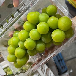 องุ่นไซมัสคัส