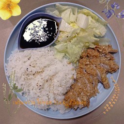 ข้าวไก่ทอดเทริยากิ
