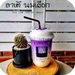 นมสดเผือก