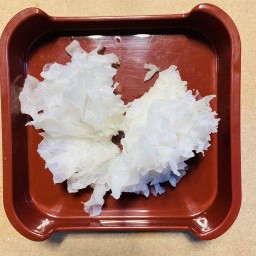 หูหนูขาว