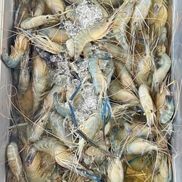 ญ.ญิ๋ง กระทะแซ่บ หมูกระทะพร้อมทาน