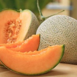 อิตาเลียนโซดา แคนตาลูป