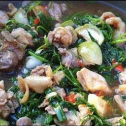 อ่อมไก่