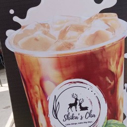 ชิกะชา Shika’s Cha เส้นไทยทอย เส้นไทยทอย