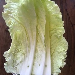 锡纸白菜 ผักกาดขาวทรงเครื่อง