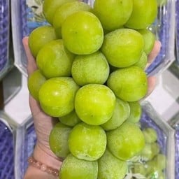 ผลไม้หน้าวัดยาง