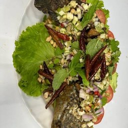 ปลาช่อนลุยสวน