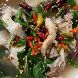 ต้มแชปปลาช่อน