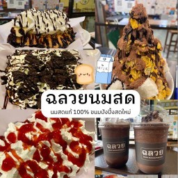 ฉลวยนมสด สุรินทร์