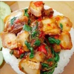 ข้าวราดกะเพราหมูกรอบ