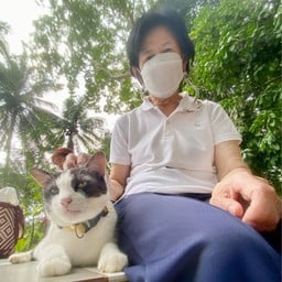 วัดป่าเคียนพิง