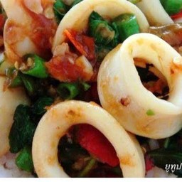 กระเพราปลาหมึกราดข้าว