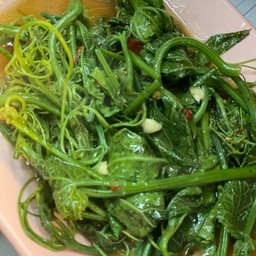 ยอดมะระไฟแดง