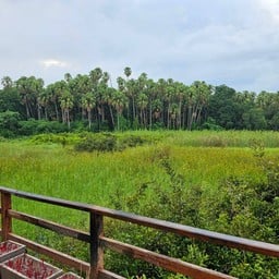 ศาลตาศรีกับยายปทุมกัลยา