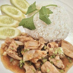 ผัดน้ำมันหอย ราดข้าว