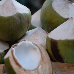 น้ำมะพร้าวสด 100%