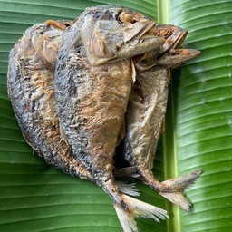 ปลาทูนึ่งทอด