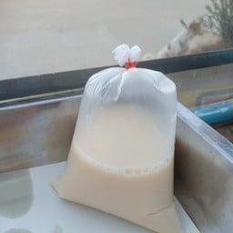 น้ำเต้าหู้ธรรมดา.