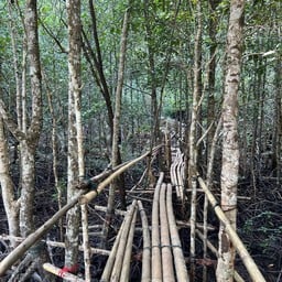 ทางเดินขึ้นเขา