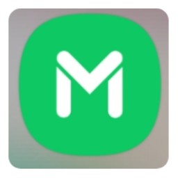 ผัดกระเพราไก่+เครื่องใน