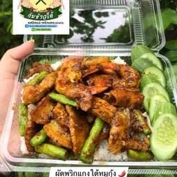 ผัดพริกแกงใต้หมูราดข้าว