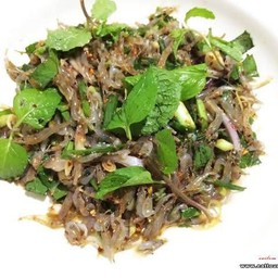 ยำกุ้งเต้น แม่สุภาพ