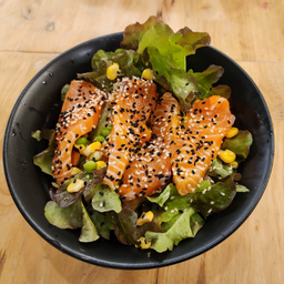 สลัดแซลม่อน ผักสลัดไฮโดร