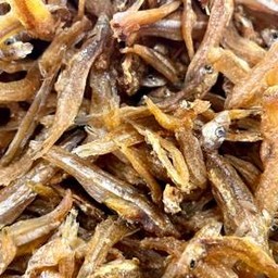 ปลาชิวแก้ว