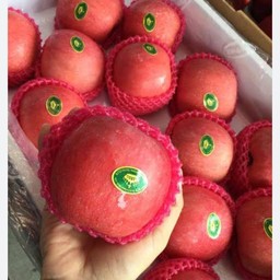 แอปเปิ้ลฟูจิไซส์จำโบ้ 1 ลูก