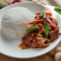 ข้าว+ผัดพริกแกง หมูชิ้น