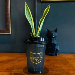 อเมริกาโน่ Pea berry