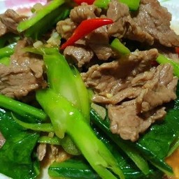 ข้าวคะน้าเนื้อน้ำมันหอย