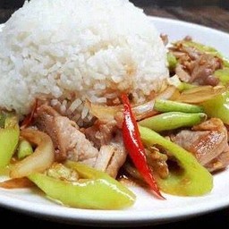 ผัดพริกสดหมูราดข้าว