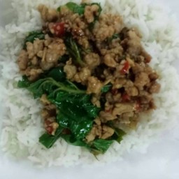 กระเพราหมูสับราดข้าว