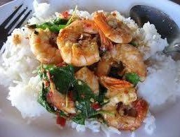 กระเพรากุ้งราดข้าว