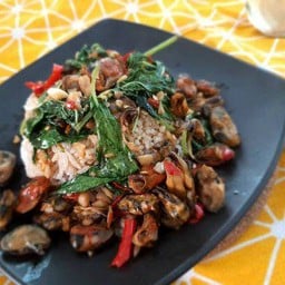 ข้าวราดกระเพราหอยแมลงภู่