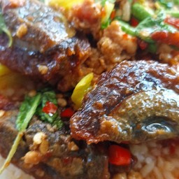 ผัดกระเพราไข่เยี่ยวม้า(เป็นกับข้าว)