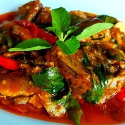 กระเพราปลาป๋องราดข้าว