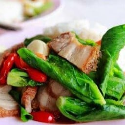 ผัดแขนงหมูกรอบ ราดข้าว