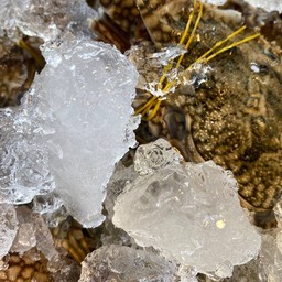 ยำป้าอ้วน ตลาดน้ำวัดบึงพระยา