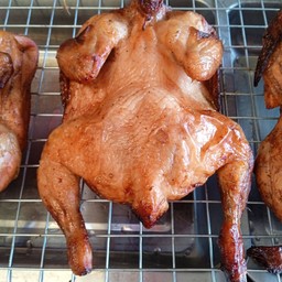 ไก่ไต่ถัง 1 ตัว