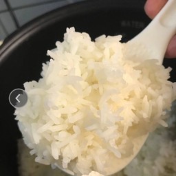 ข้าวเปล่า