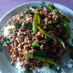 กระเพาหมูสับไข่ดาว