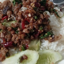 กระต่ายอาหารเครื่องดื่มสาย2