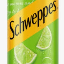 ชเวป มะนาม